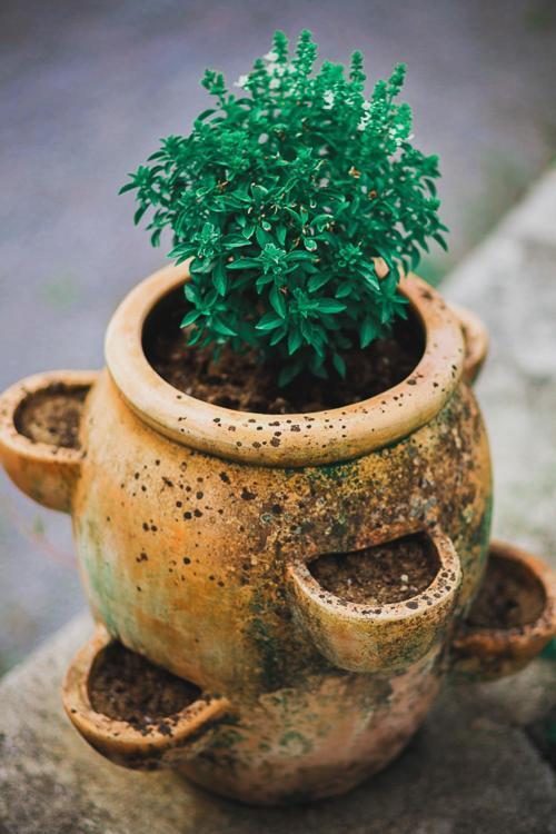 Hisa Posebne Sorte Kodreti Ngoại thất bức ảnh